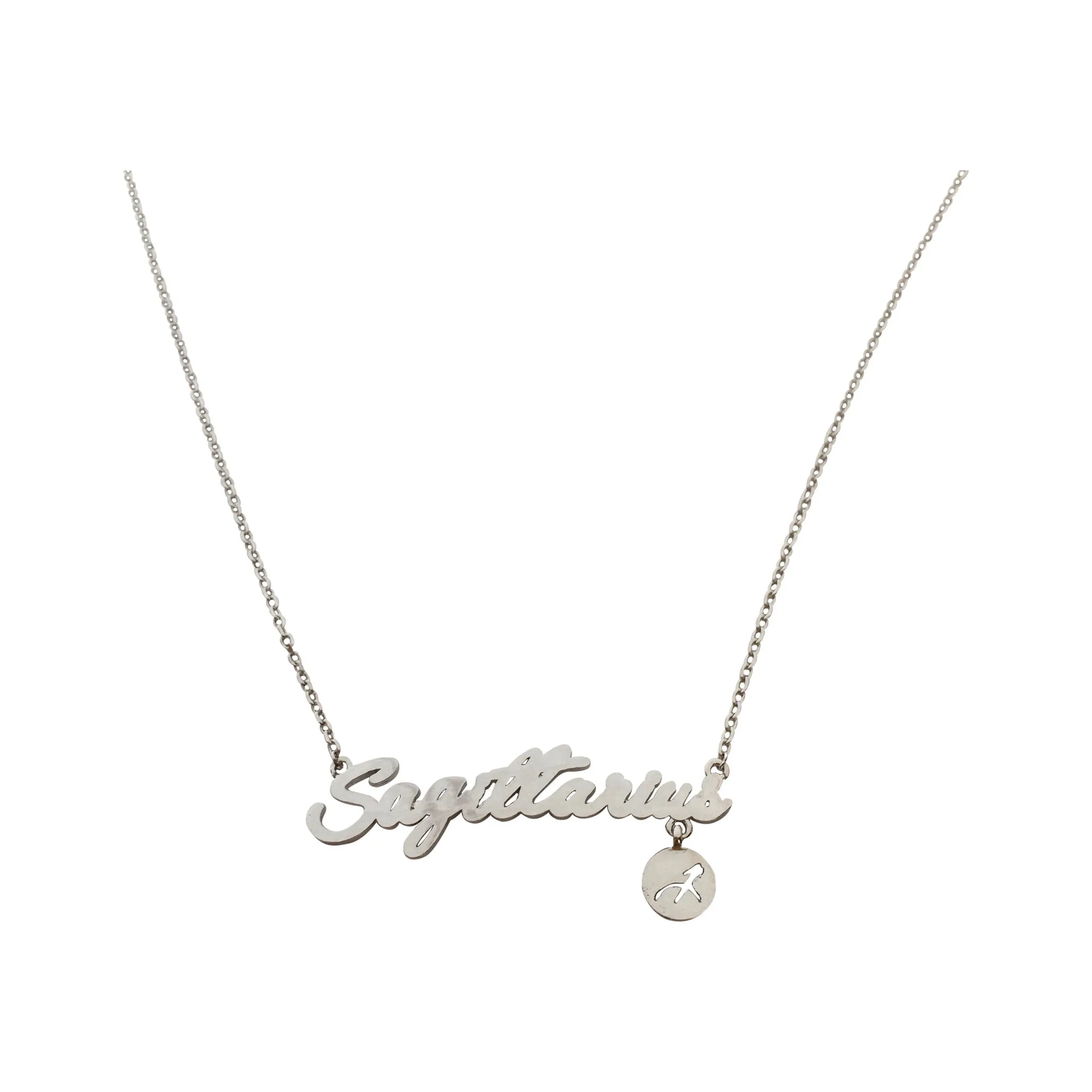 Aquarius Zodiac Sign Necklace (silver)
