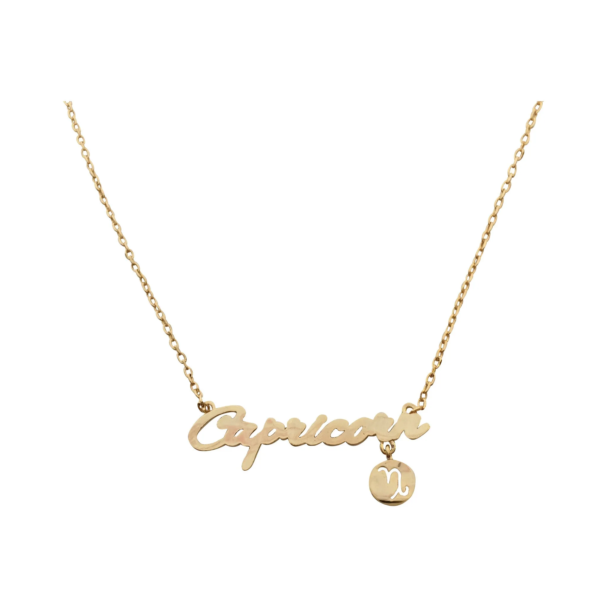 Aquarius Zodiac Sign Necklace (silver)