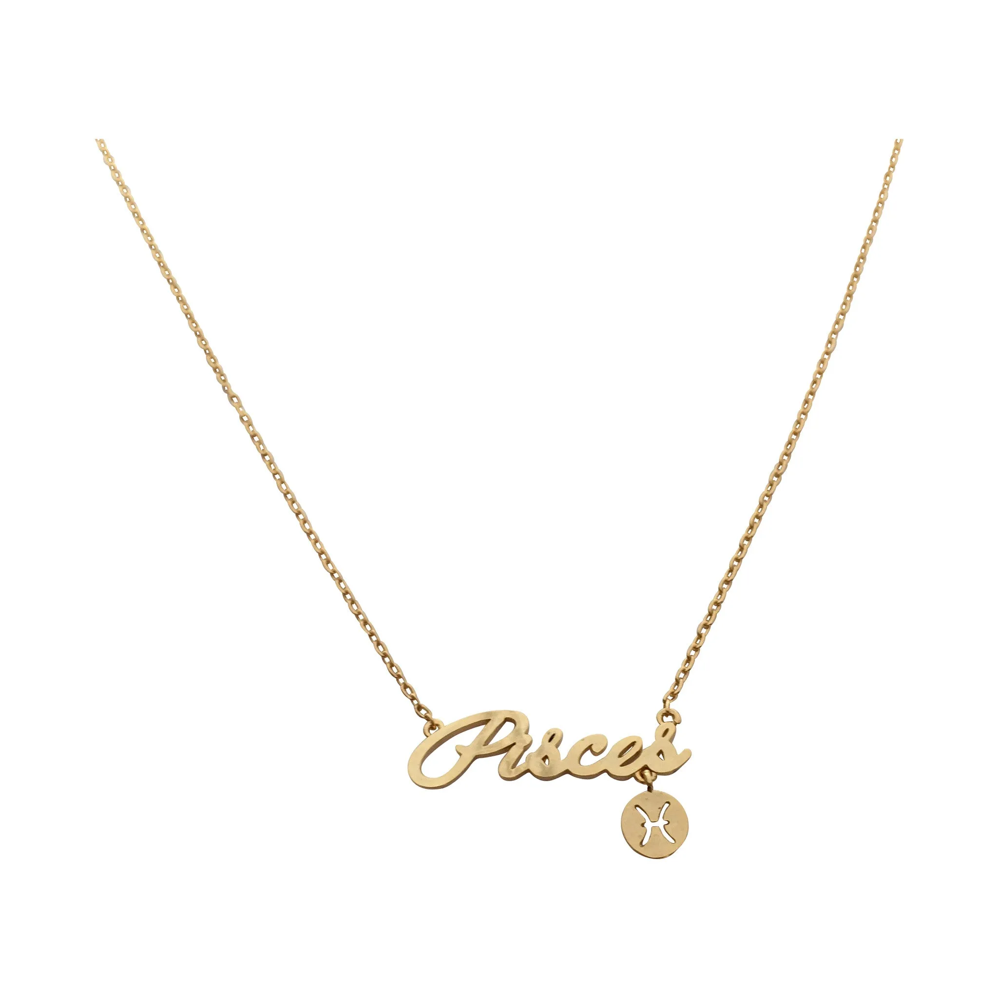 Aquarius Zodiac Sign Necklace (silver)