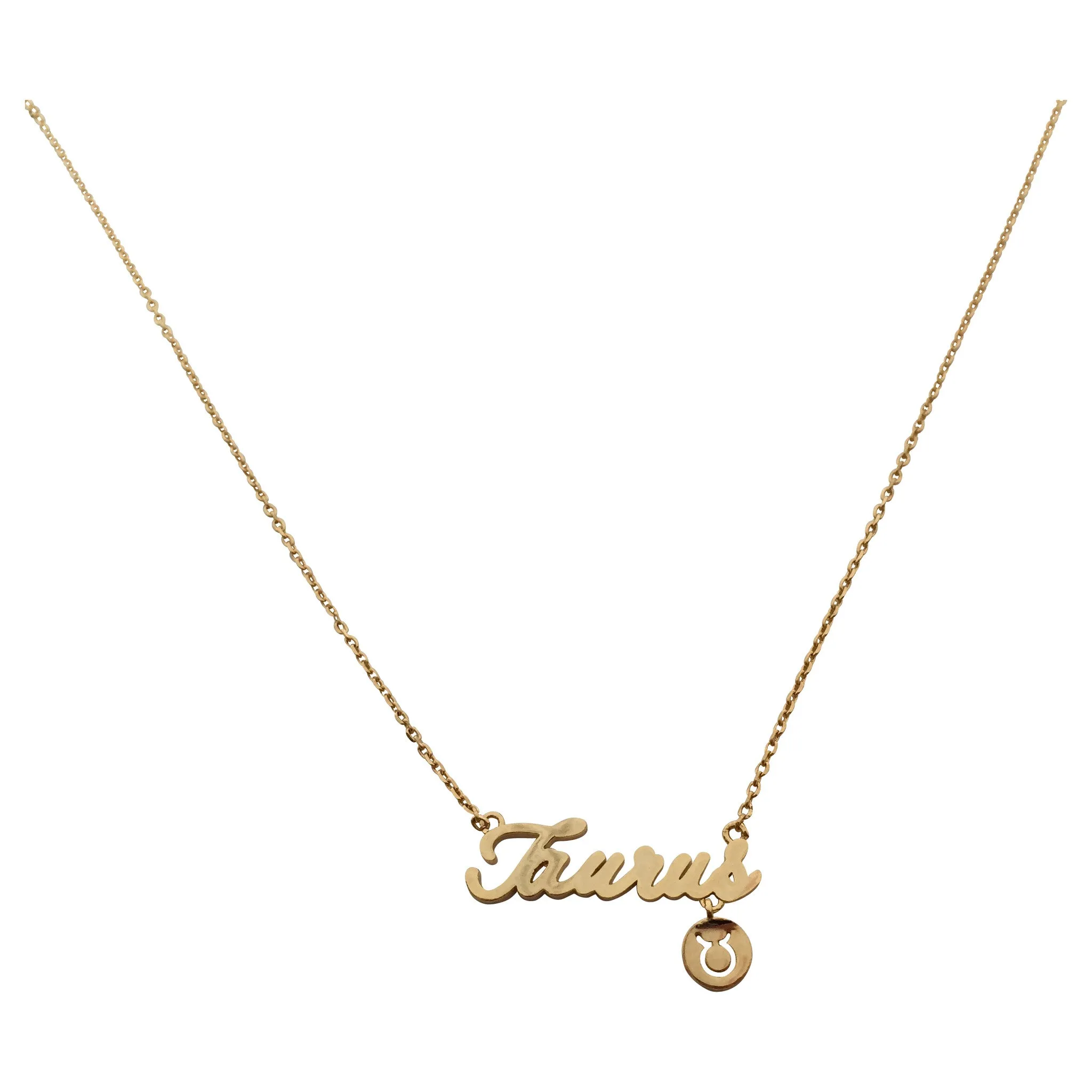 Aquarius Zodiac Sign Necklace (silver)