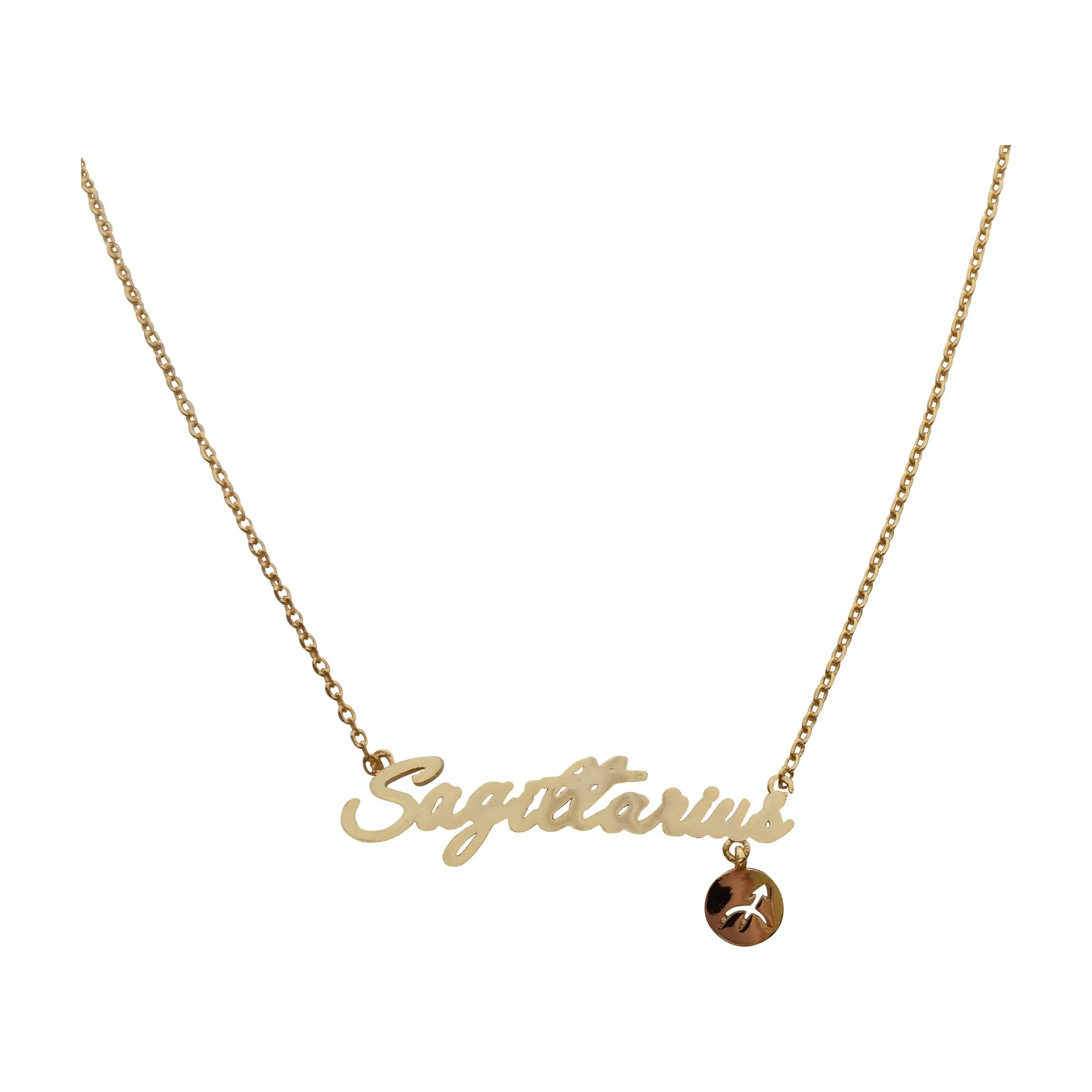 Aquarius Zodiac Sign Necklace (silver)