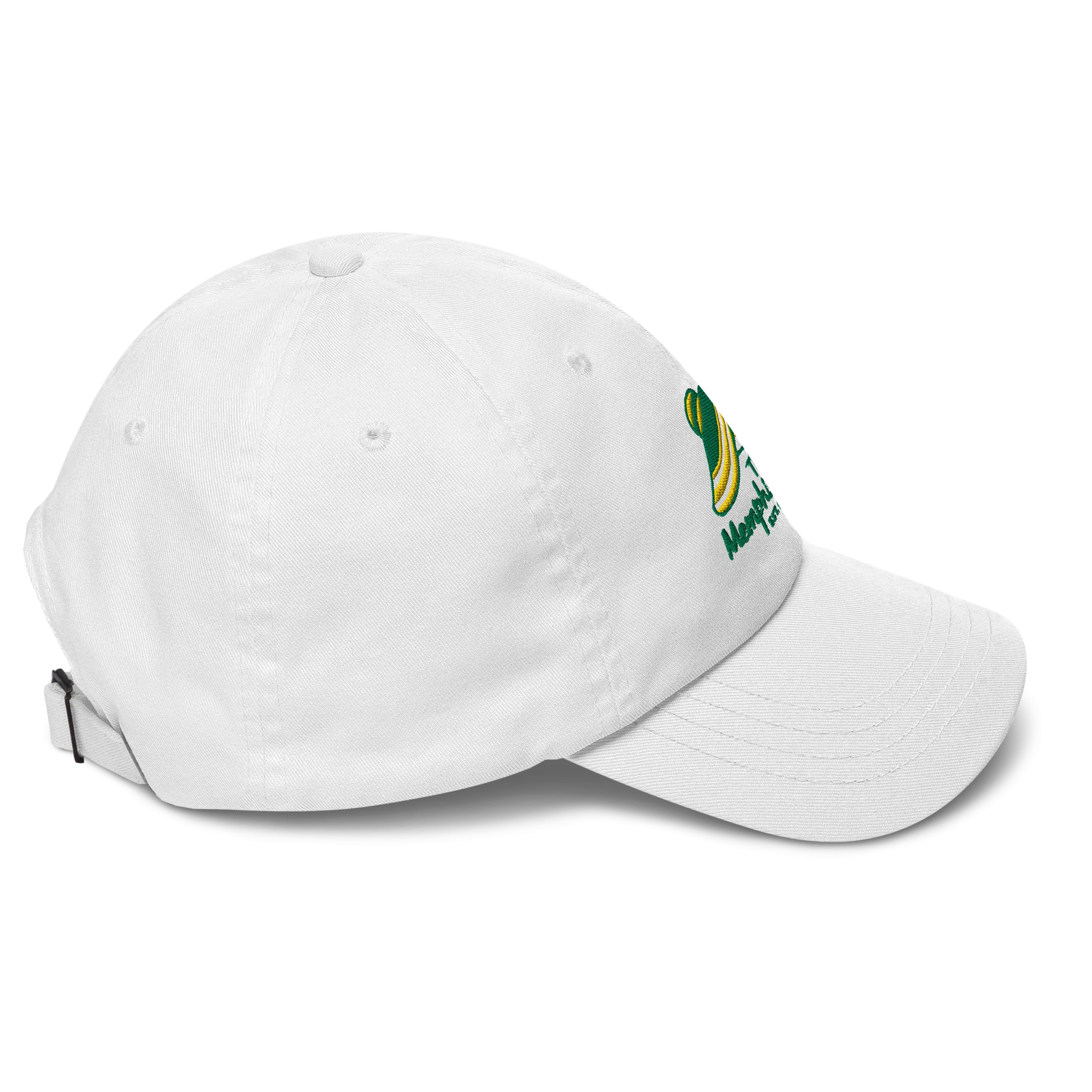 Memphis Tams Basketball Dad Hat