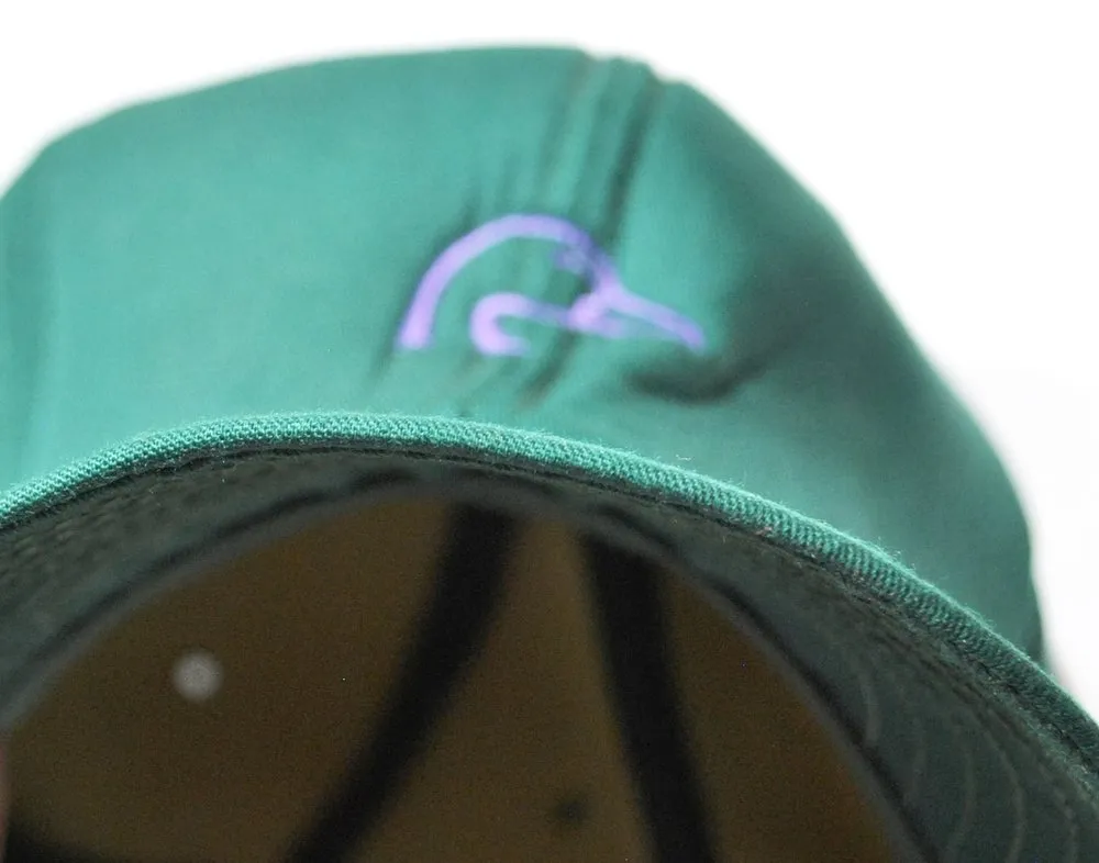 Vintage Ducks Unlimited Insulated Snapback