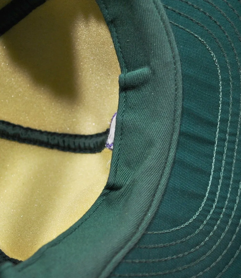 Vintage Ducks Unlimited Insulated Snapback